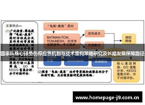国家队核心球员伤停应急机制与战术重构策略研究及长期发展保障路径